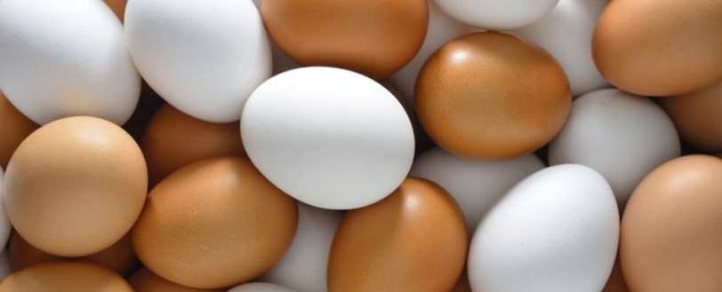 huevos alergias alimenticias tipos comidas salud examen