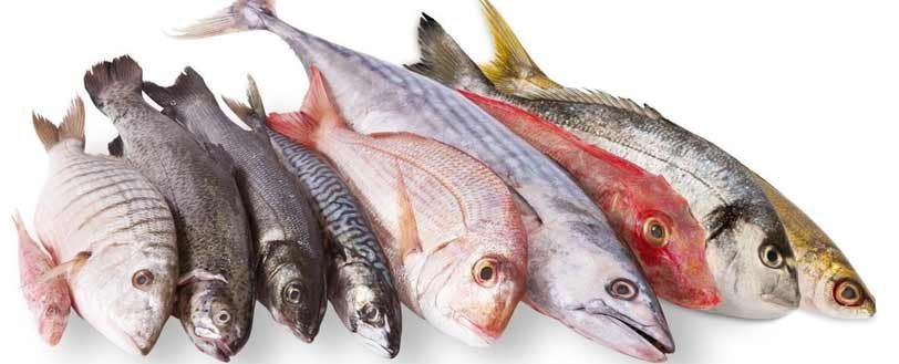 pescado alergias alimenticias tipos comidas salud examen