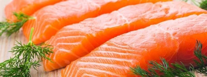 alimentos para el cerebro bogota nutricion salmon