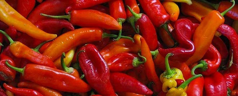 comer dormir bien antienvejecimiento descansar ALIMENTOS DORMIR MEJOR MEDICINA ANTIENVEJECIMIENTO BOGOTA SUENO