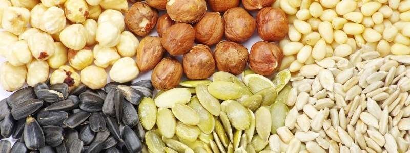 alimentos para el cerebro bogota nutricion nueces