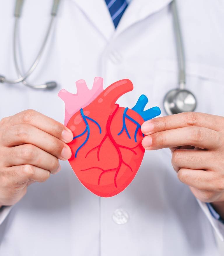 enfermedad cardiovasular guia tratamientos sintomas medicina funcional antienvejecimiento