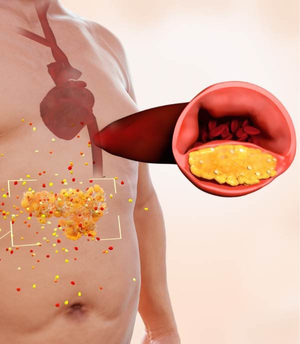 grasa visceral salud bajar de peso